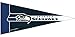 NFL 8 Piece Mini Pennant Sets