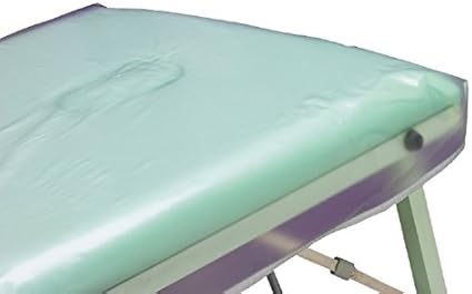 Hive Of Beauty Pvc Protective Professional Waxing Massage Beauty