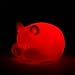 Lowpricenice Color Changing LED Pig Shape Night Light