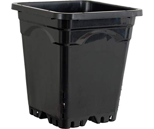 Active AQUA HG5X5SB, 5" X 5", Black 5" by 5" Square Tall Pot Case of 100, 7", 5"