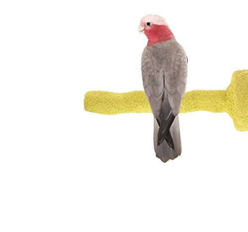 Sweet Feet and Beak Thermal-Lite Natural Patented Perch, Medium - Yellow- Perfect for Keeping your Bird's Feet and Beaks Healthy