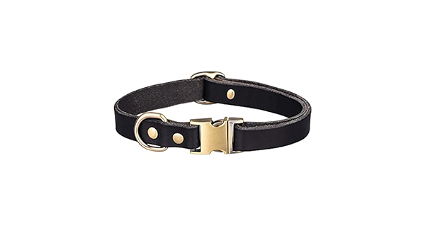 ferragamo dog collar