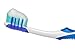 Shoreline Cosmetics Simple Teeth Whitening Foam