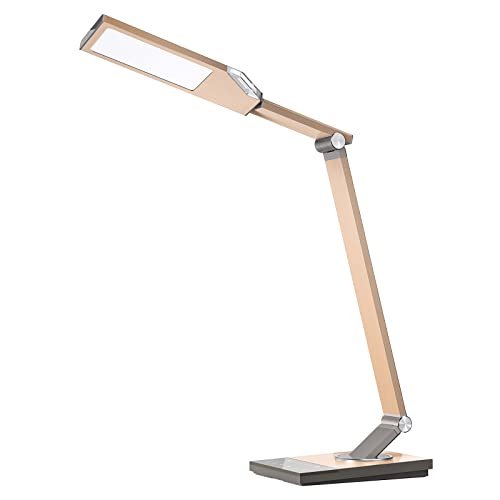 Metal LED Desk Lamp, Workbench Office Light with 5V/2A USB Port, Eye