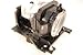 Hitachi CP-X301 Projector lamp Replacement Bulb with housing -Quality Replacement lamp