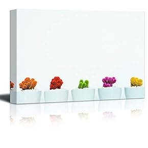 Canvas Wall Art Corlorful Cactus in Line Painting Artwork for Home Prints Framed - 12x18 inches