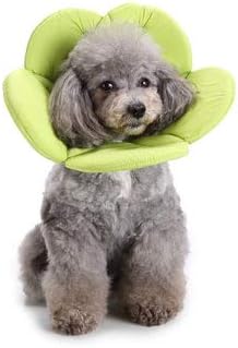 Fournitures De Santé Pour Chien Et Chien éponge Douce En