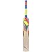 Puma Evospeed 2500 English Willow Cricket Bat Full Size with Padded Cover