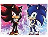 Sonic The Hedgehog Sonic And Shadow Personality Custom Home Decorative Pillow Cover Zippered Pillowcase (20x30 inch) Haitaowong Design