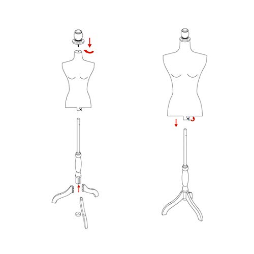 5 Female+Mannequin+Adjustable+Clothing+Display