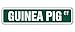 Guinea Pig Street Sign Childrens Name Room Sign | Indoor/Outdoor | 18