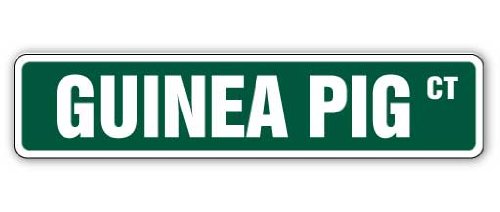 Guinea Pig Street Sign Childrens Name Room Sign | Indoor/Outdoor | 14" Wide
