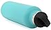 Simple Modern Insulated Water Bottle with Handle Lid Reusable Ascent Narrow Mouth Stainless Steel Thermos Flask, 20oz Handle Lid, Caribbean