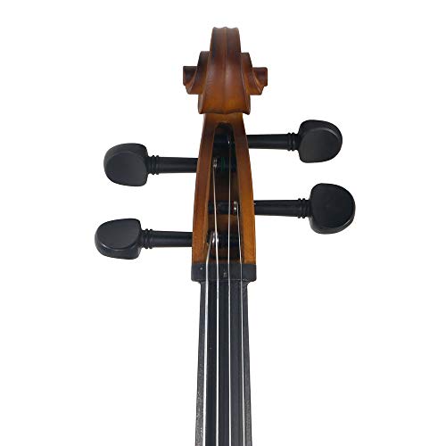 Z ZTDM Acoustic Cello with Carrying Bag, Bow, Rosin for Beginner Cello Kit (4/4 (Matt Golden))