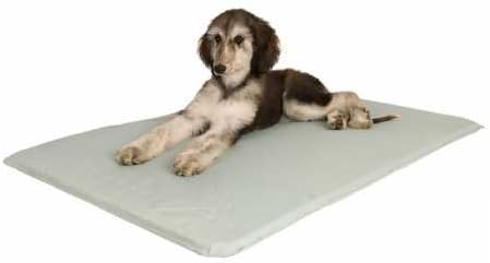 electric cooling dog bed