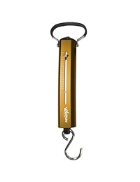 Weston Spring & Hook Scale, 50 lb