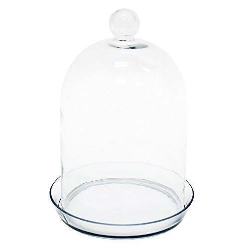 Купить Achla Designs Bell Jar Terrarium I в интернетмагазине Amazon с