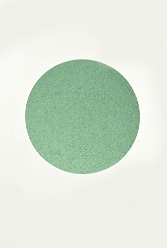 Sunmight 01503 8" No Hole PSA Disc (Film Grit 40)