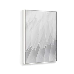 NWT Framed Canvas Wall Art for Living Room,...