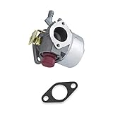 Everest New Carburetor Fits Some Tecumseh OEM 640025 640025A 640025B 640025C 640014 640004 with Free Gasket