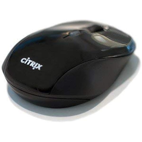 Citrix receiver ipad