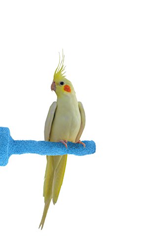 Sweet Feet and Beak Thermal-Lite Natural Patented Perch, Small - Blue- Perfect for Keeping your Bird's Feet and Beaks Healthy - Thumbnail 3