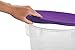 Rubbermaid Commercial Lid (Lid Only) for Round Food Storage Container, Fits 8 Qt. Containers, Purple (1980384)