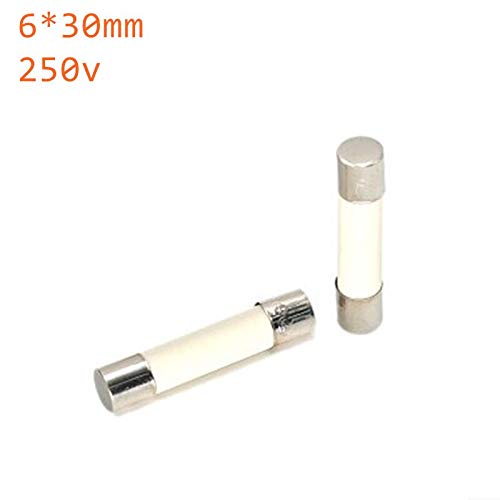 Microwave Fuse Ceramic Fuse Cartridge Fuse 20 Amp 250V SlowBlow