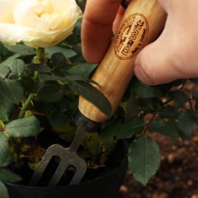 DEWIT(デウィット) ミニフォーク 3本爪 No.3471