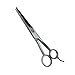 Boslion Barber Scissors/Shears (6-Inch), Hair Cutting Scissors, Stainless Steel Scissors