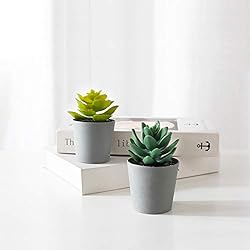 Artificial Succulents Set of 3 Mini Realistic Fake