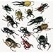 U. S. Toy Toy Bugs (Dozen), 1603, Black/White, 3