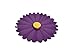 Charles Viancin Daisy 4