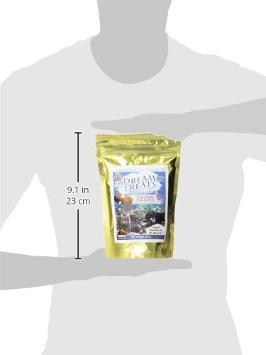 WYSONG DREAM TREATS CHICKEN – FOR DOGS/CATS/FERRETS – RAW FOOD – 4.9 OUNCE BAG