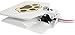 iMounTEK Hygienic Dog/Pet Geyser Water Fountain (41