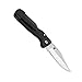 SOG Specialty Knives & Tools AC10-CP AutoClip Mini Knife with Straight Edge Folding 2.68-Inch Steel Blade and Black GRN Handle, Satin Finish