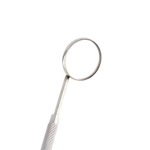 3Pcs Handle Stainless Steel Dental Tool Pick Pic Scaler Set Teeth Cleaning Tooth by Superdental