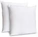 ZOYER Decorative Throw Pillow Inserts (2 Pack, White)-Square Pillows for Couch and Bed-Premium Quality Euro Pillows-Enhance Your Decor with Throw Pillows-Ideal Cushions for Sofas and Bedrooms