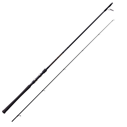 天龍(テンリュウ) パワーマスター サンドウォーカー PMS9102S-ML スピニング 2ピースの商品画像