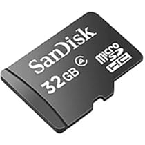 SanDisk 32 GB microSDHC