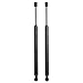 Maxpow 4162 SG325011 Compatible With 2004 2005 2006 2007 Maxima Hood Struts Lift Support, Pack of 2