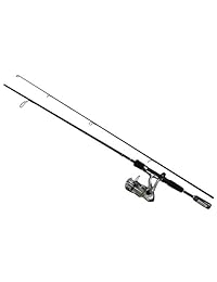 Daiwa d shock Fibra de vidrio Rod y dsk 2b carrete agua dulce Spinning Combo