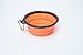 LukPaw Dog Bowl Travel Cup for Dog, Collapsible Pet Bowl,Foldable Expandable Dish for Pet Dog/Cat Food Water Feeding Portable Travel Bowl 4-Pack with Free Carabiner (Parent) (4 Colors)