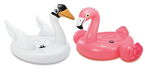 intex swan