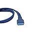 QiCheng&LYS USB 3.0 Housing Motherboard 19 Pin Male to Female Extension Cable (USB 3.0 Male to Female)