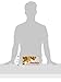 Hazer Baba Turkish Delight Candy, Mixed Nuts & Vanilla Flavored, Gourmet Snack Box, Traditional, Vegan Snack, Turkish Lokum, Sweets, Loukumi, Delicias Turcas, Halal, Kosher, 16oz (454g)