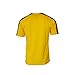 Pana brazil Jersey Flag Brasil Youth Training Custom Name and Number Soccer Any Sport Celebration World cup Olympic