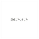テルモ 血圧計 ES-W500ZZ