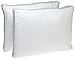 DreamSleep - Extra Firm Bed Pillow Insert, Quilted Gusseted Edges (Standard Size, 2-Pack)