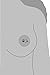 Magnetic Nipple Clamps Nipple Tuggers for Couples